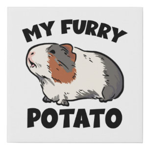 My furry potato guinea pig faux canvas print