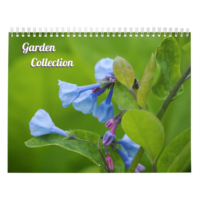 My Garden Collection  Calendar (Cover)