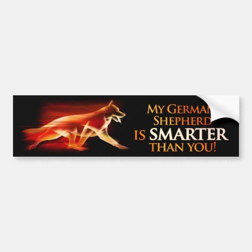 My German Shepherd is smarter than you Bumper Sticker