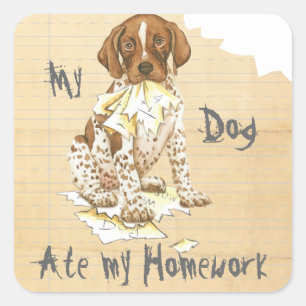 My German Shorthaired Pointer Ate My Homework Square Sticker