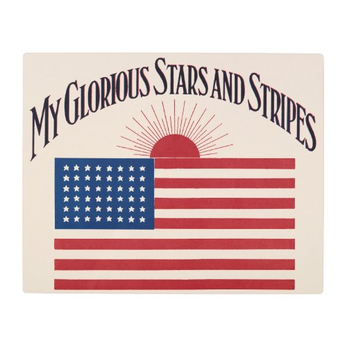 My Glorious Stars and Stripes 1917 Metal Print