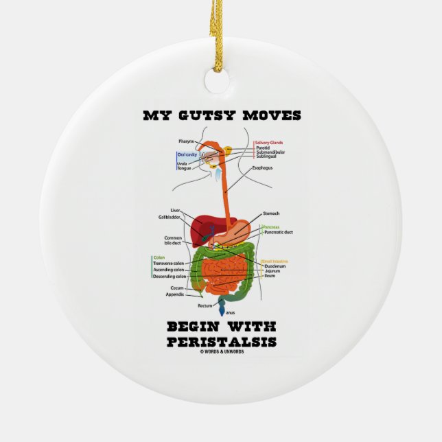 My Gutsy Moves Begin With Peristalsis (Digestive) Ceramic Ornament (Back)