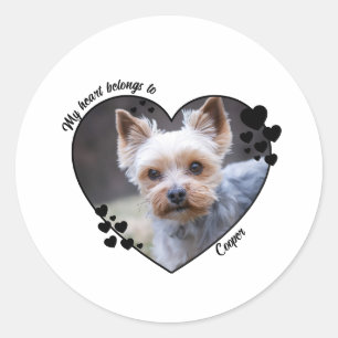My heart belongs to customized dog T-Shirt Classic Round Sticker