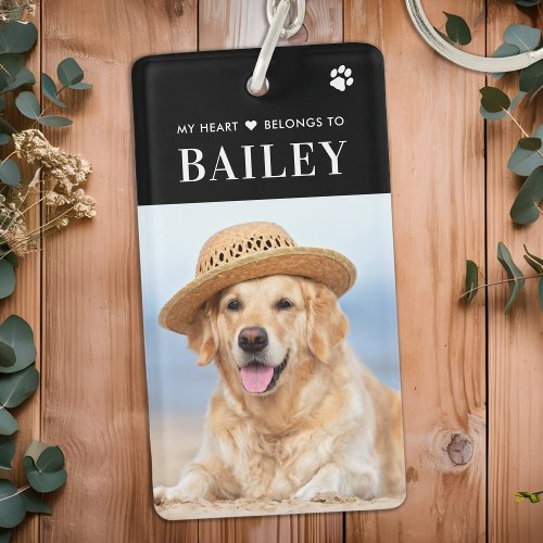 My Heart Belongs To Dog Pet Photo