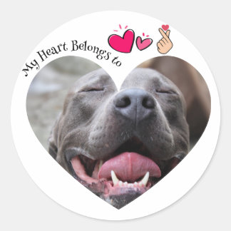 My Heart Belongs to Pitbull dog custom photo Classic Round Sticker