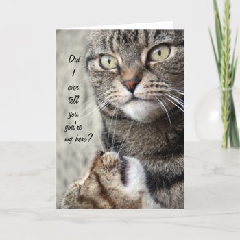 My Hero Cat Card by wisewords at Zazzle