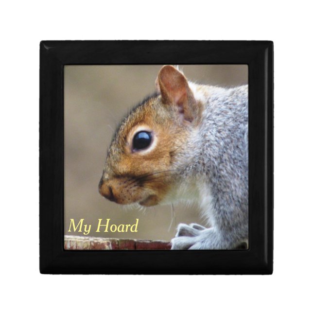 My Hoard Squirrel Gift Box (Front)