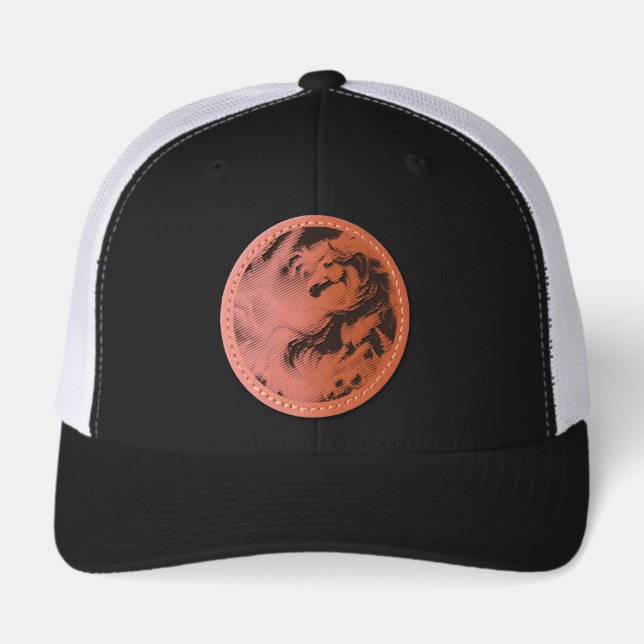 My horsing around leather patch hat (Front)