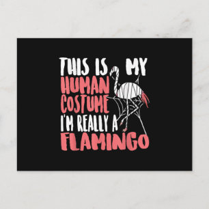 My Human Costume Im Really A Flamingo Mummy Cute Postcard