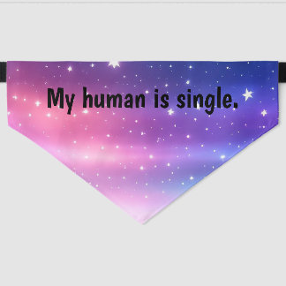 My human is single 2 pet bandana collar