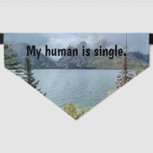 My human is single