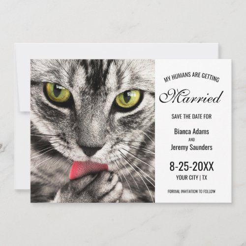 My Humans are Getting Married Cat Photo Wedding Save The Date