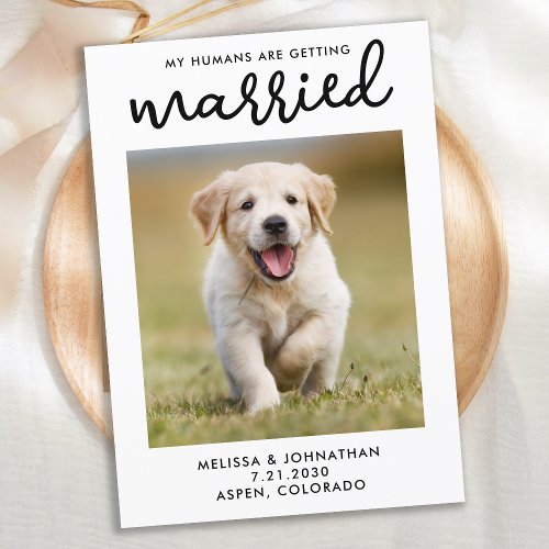 My Humans Are Getting Married Custom Pet Photo Dog Save The Date