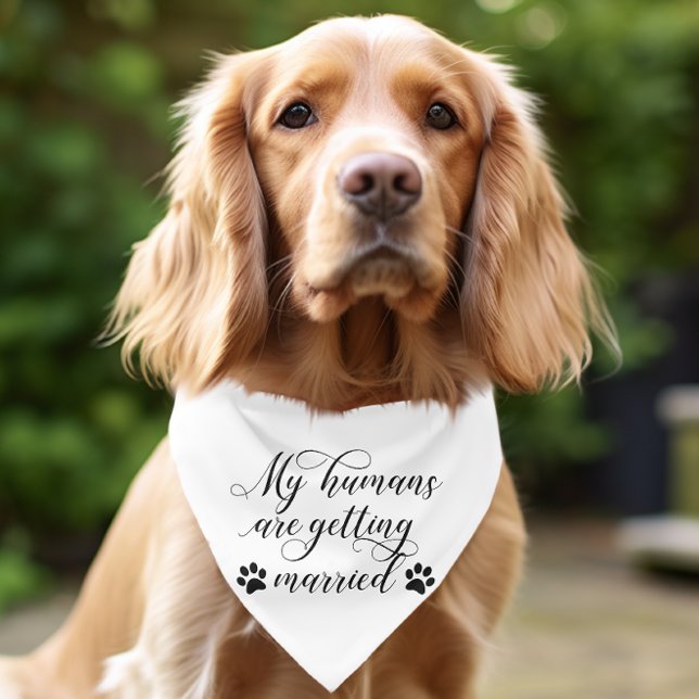 My Humans Are Getting Married Dog  Bandana (Dog wearing My Humans Are Getting Married bandana)