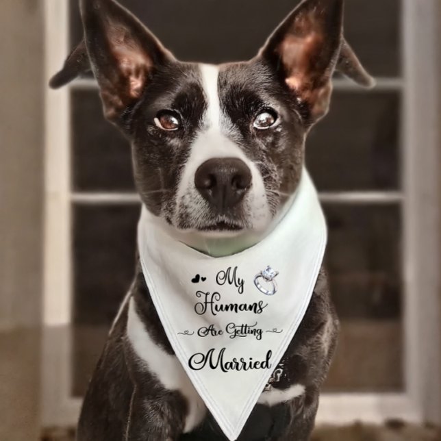 My Humans Are Getting Married Dog Bandana (Creator Uploaded)