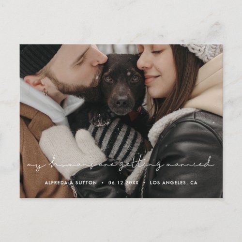 My humans are getting married Dog photo Announcement Postcard