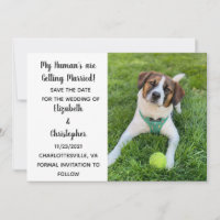 My Human's Are Getting Married Dog Photo Save The Date