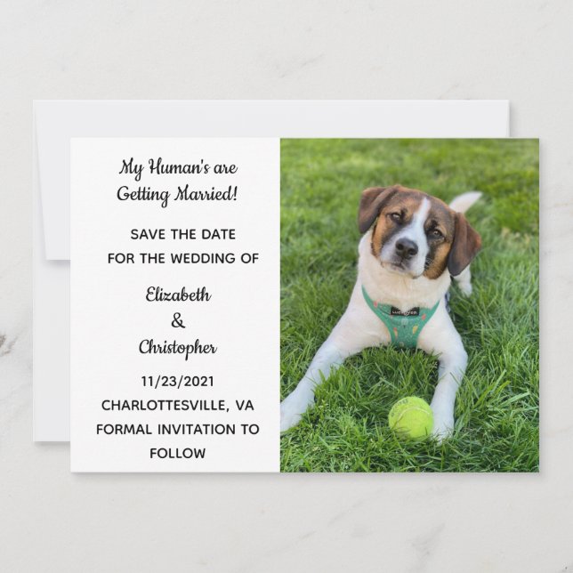 My Human's Are Getting Married Dog Photo Save The  Save The Date (Front)