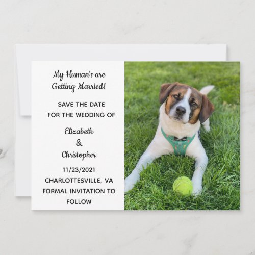 My Humans Are Getting Married Dog Photo Save The  Save The Date