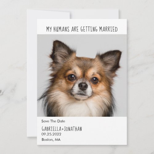 My Humans Are Getting Married Dog Photo Wedding  Save The Date