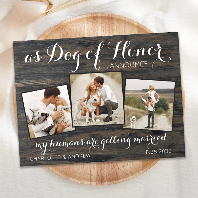 My Humans Are Getting Married Dog Save The Date Announcement Postcard (Creator Uploaded)