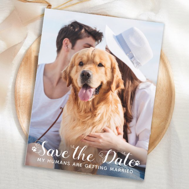 My Humans Are Getting Married Dog Save The Date Announcement Postcard (Creator Uploaded)