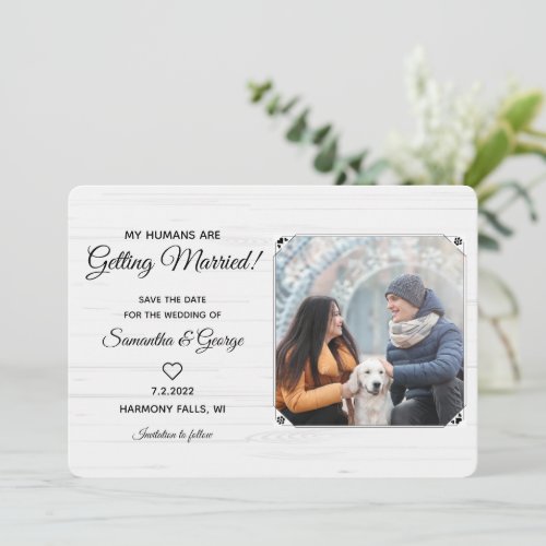 My Humans Are Getting Married_ Dog Save the Date Invitation