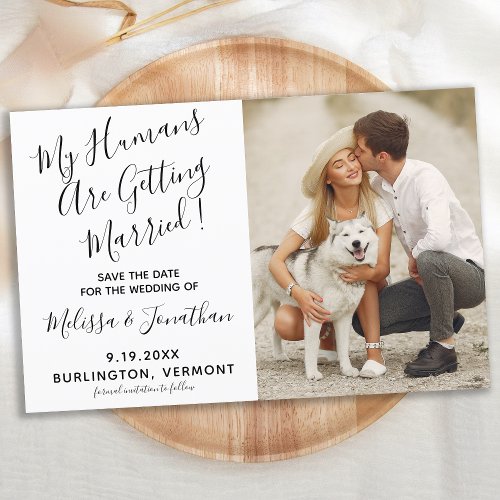 My Humans Are Getting Married Dog Wedding Budget
