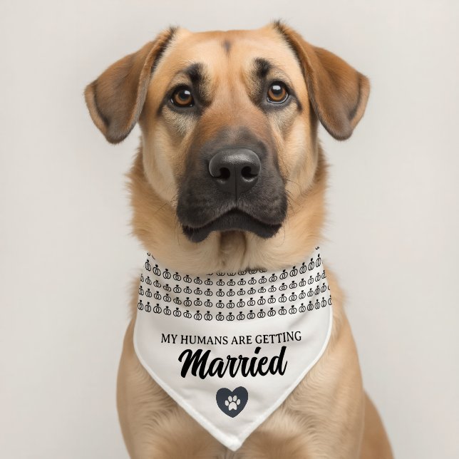 My Humans Are Getting Married Dog Wedding Pet Bandana Collar (Dog 2)