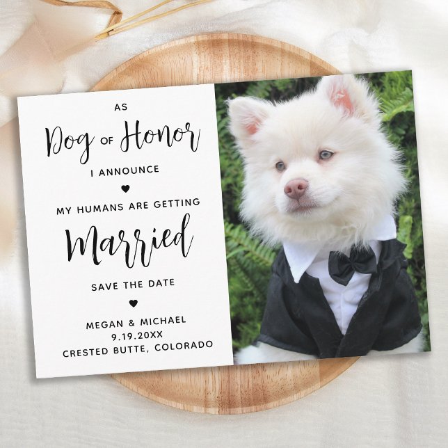 My Humans Are Getting Married - Dog Wedding Save The Date (Creator Uploaded)