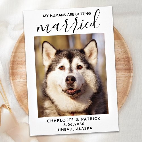 My Humans Are Getting Married_ Elegant Dog Wedding Save The Date