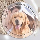 My Humans Are Getting Married Engagement Dog Photo Coaster<br><div class="desc">Celebrate your engagement and give unique dog wedding save the dates with these custom photo, and personalized 'My Humans Are Getting Married" wedding save the date coaster. Customize with your favorite photos, names and date. This custom photo wedding coaster is perfect for engagement party favors, and an alternative to dog...</div>