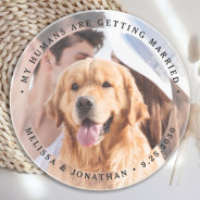 My Humans Are Getting Married Engagement Dog Photo Coaster at Zazzle