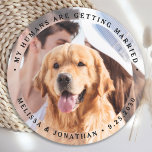 My Humans Are Getting Married Engagement Dog Photo Round Paper Coaster<br><div class="desc">Celebrate your engagement and give unique dog wedding save the dates with these custom photo, and personalized 'My Humans Are Getting Married" wedding save the date coaster. Customize with your favorite photos, names and date. This custom photo wedding coaster is perfect for engagement party favors, and an alternative to dog...</div>