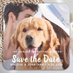 My Humans Are Getting Married Engagement Dog Photo Square Paper Coaster