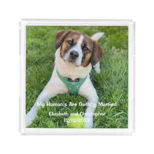My Human's Are Getting Married Engagement Photo Acrylic Tray