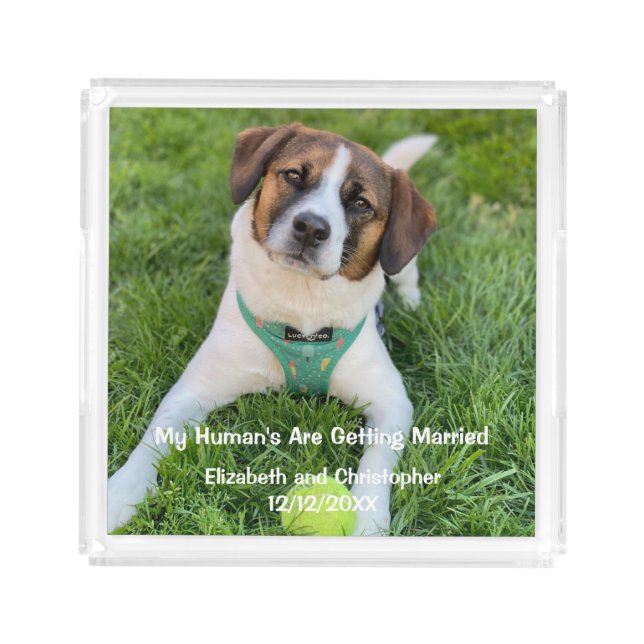 My Human's Are Getting Married Engagement Photo  Acrylic Tray (Front)
