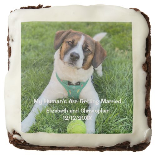 My Humans Are Getting Married Engagement Photo Brownie