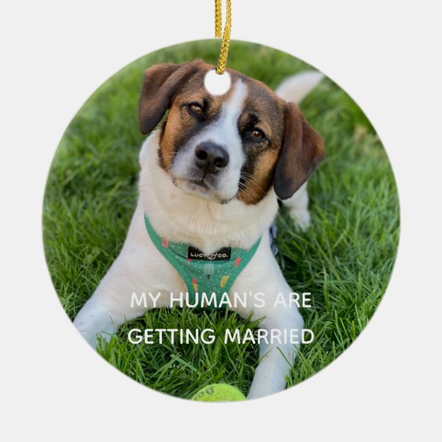 My Human's Are Getting Married Engagement Photo Ceramic Ornament (Front)