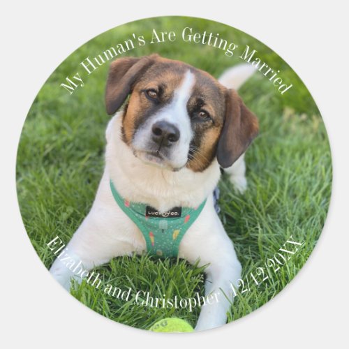 My Humans Are Getting Married Engagement Photo  Classic Round Sticker