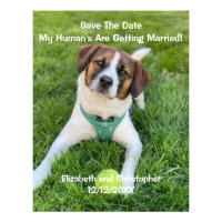 My Human's Are Getting Married Engagement Photo Flyer