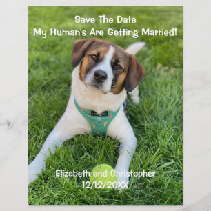 My Human's Are Getting Married Engagement Photo Flyer