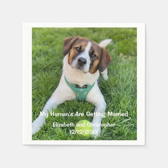 My Human's Are Getting Married Engagement Photo  Napkins