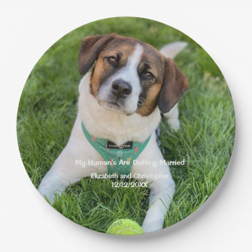My Humans Are Getting Married Engagement Photo   Paper Plates