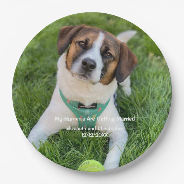 My Human's Are Getting Married Engagement Photo   Paper Plates (Front)