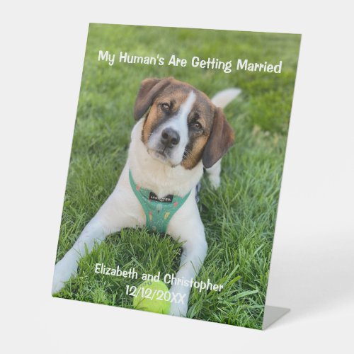 My Humans Are Getting Married Engagement Photo  Pedestal Sign