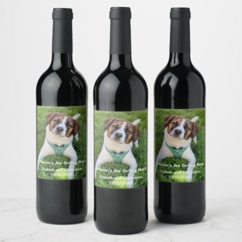 My Humans Are Getting Married Engagement Photo Wi Wine Label