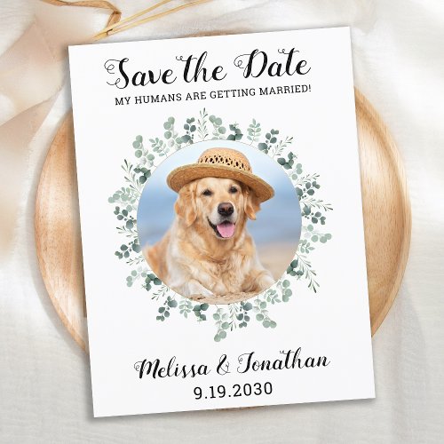 My Humans Are Getting Married Eucalyptus Pet Dog A Announcement Postcard