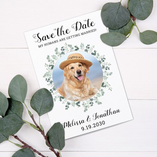 My Humans Are Getting Married Eucalyptus Pet Dog S Save The Date