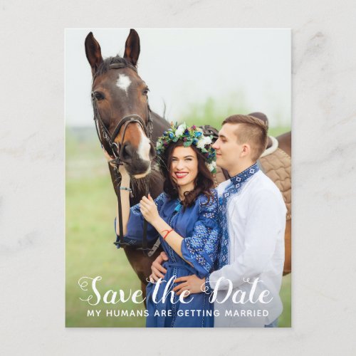 My Humans Are Getting Married Horse Save The Date Announcement Postcard